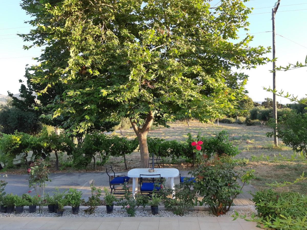 Willa Swan House Panoramic View - Near The Sea Zipárion Zewnętrze zdjęcie